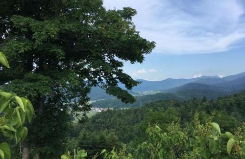 Brestova Draga House | Zeleni brig