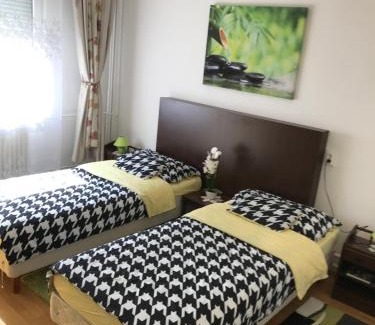 Szolnok Apartment | Zen apartman