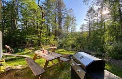 Chester Cabin | Zen of the Woods Tiny Cabin in Okemo Valley