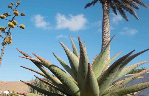 Puerto del Rosario House | Zenzero Blu