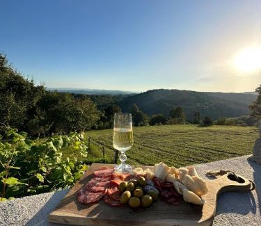 Hrastnik House | Zerko Holiday Home - Vineyard Chalet With Sauna and Jacuzzi FREE