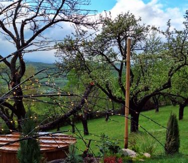 Bran Cabin | Zibran Cabane
