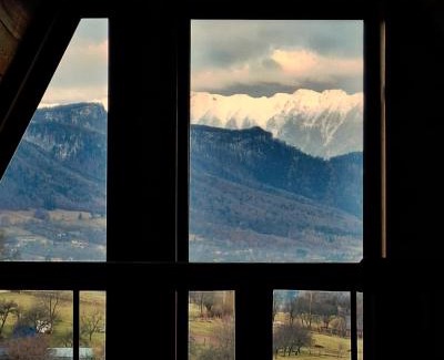 Bran Cabin | Zibran Cabane