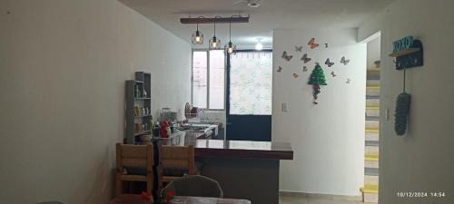 Vaso de Miraflores House | ZIHUA TAANAJ