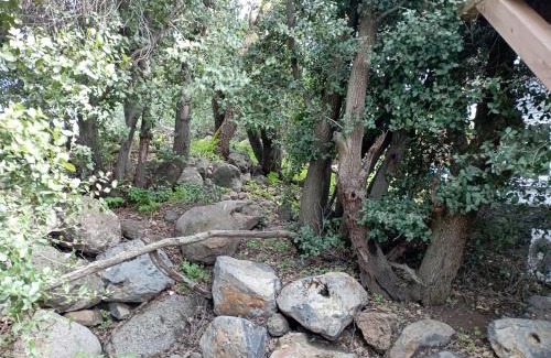 Ein Zivan House | Zini House