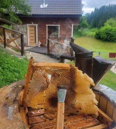 Забрус насолоди