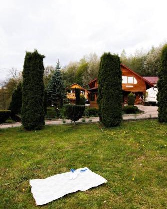 Карпатська Модрина