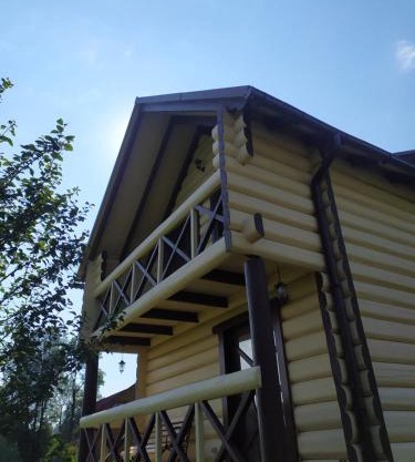 Карпатська мрія