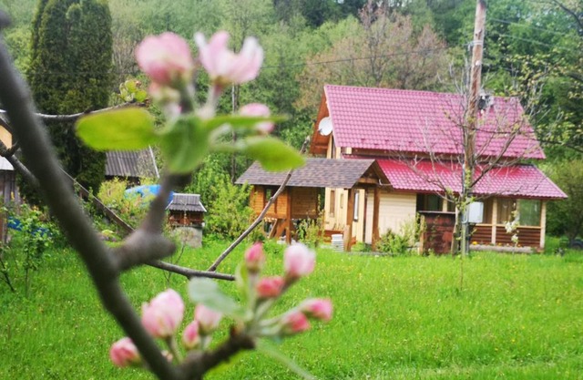 Карпатський світанок