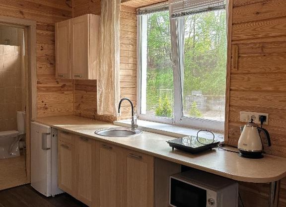 Котедж бiля рiчки село Кудашiвка