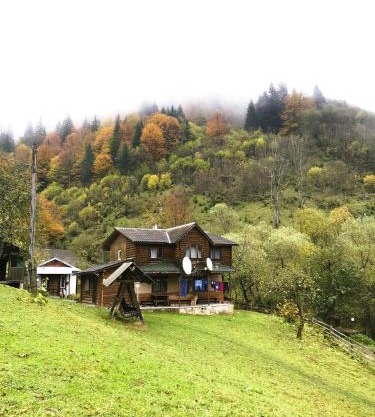 Котедж Ксенія