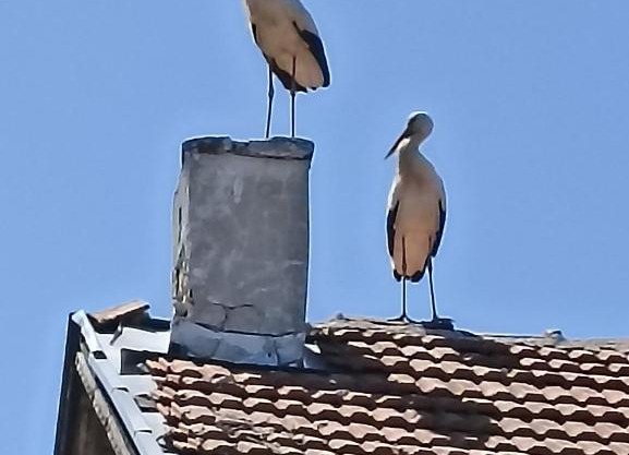 Къща за гости Пантови