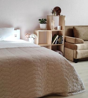 Однокімнатна на Троєщині