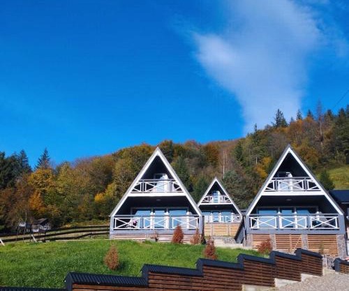 ТК Карпатські шале