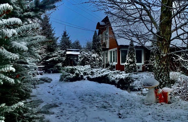 Три богатыря