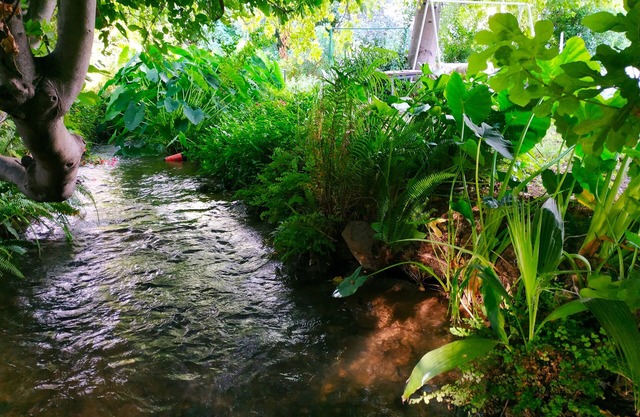 דירה חמודה ואינטימית