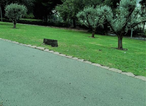 דירת 3 חדרים מקסימה באחוזה