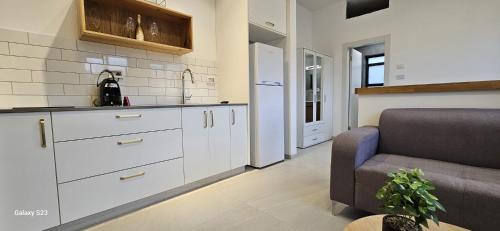 יובליי דניאל