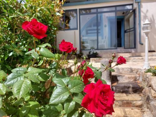 פינה שקטה בראש פינה העתיקה Quite Corner in old Rosh-Pina