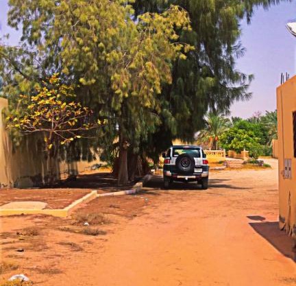 شاليه ام علي