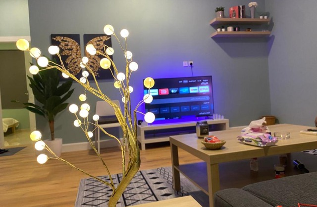 شقة باجواء مريحة غرفتين نوم وصالة بدخول ذاتي