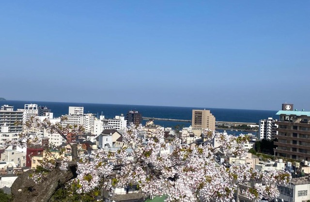 ヴィラマーレ熱海(Villa Mare Atami)
