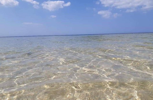 1 and 2 separate bedrooms for rent