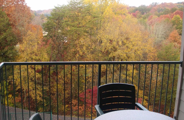 1 Bedroom condo at Laurel Crest Resort in Pigeon Forge! Flexible cancellation!!