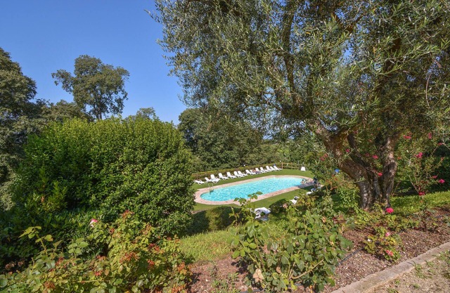 1 bedroom cozy apartment in Colà