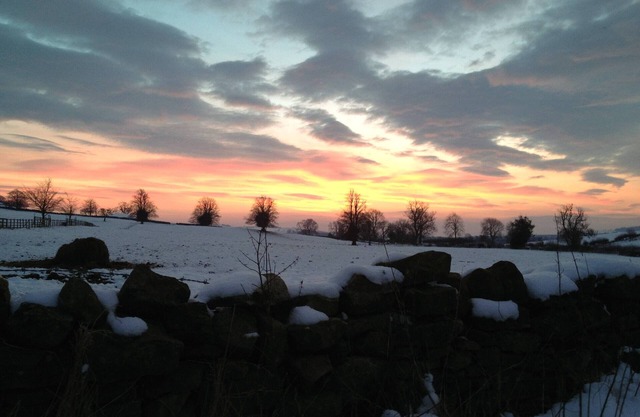 1 bedroom accommodation in Dalton near Richmond