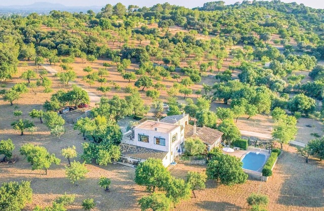 1 bedroom gorgeous apartment in Selva