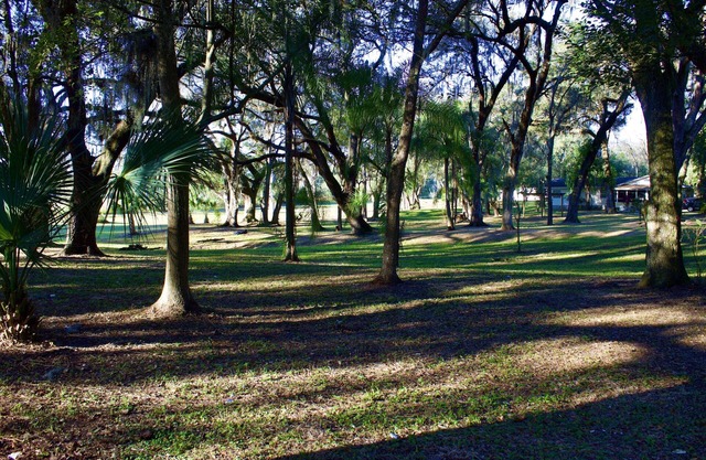 10 % DISCOUNT Cheerful home on 3.5 acres with plenty parking/long term rental