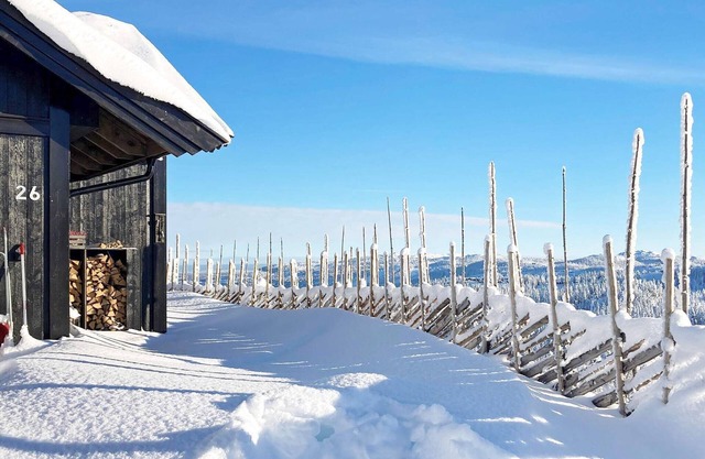 10 person holiday home in NESBYEN