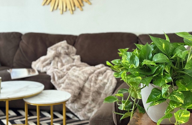 148 5-Star Reviews - Walk to Rodeo Dr - 1100 sqft Apartment