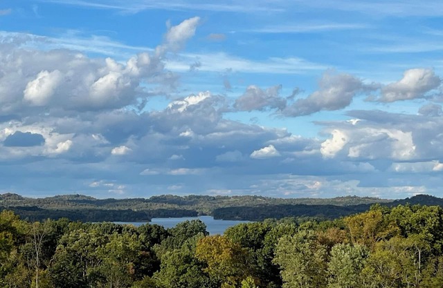 180 Degree Seneca Lake Views, privacy galore with hot tub. Sleeps 9n