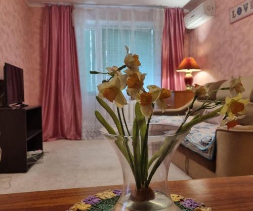 2комн апартаменты на ул.софиевской