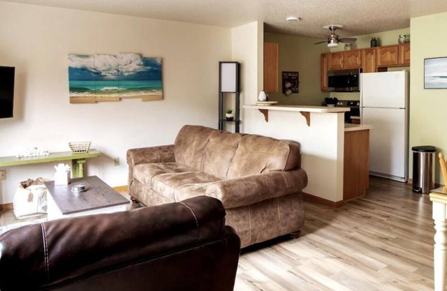 2/2.5 Lake Michigan Beachfront Pet Play Game Room