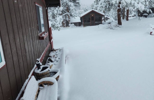 #2 African Safari - Cabin w/1 Queen & 1 1 Double