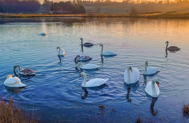 2 bedroom accommodation in Bishop Auckland