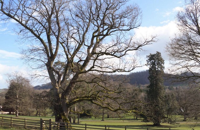 2 bedroom accommodation in Llanfyllin