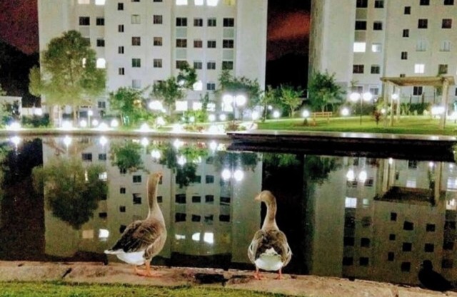 2-bedroom apartment in Condominium Club in Curitiba in Pinheirinho
