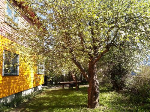2 Bedrooms Furnished Apartment - Close to everything in Moss