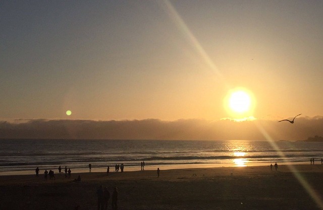 2 Blocks to Ocean - FALL &WINTER RATE SPECIALS - Gated Building - 5 star reviews