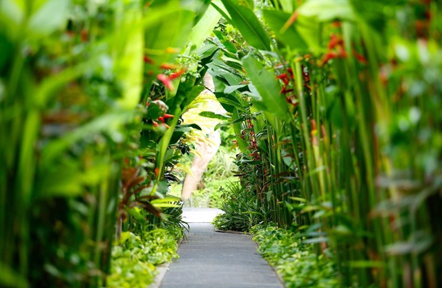 2 BR Pivate Pool Villa, 5 mnts walking to the beach and Seminyak shopping area