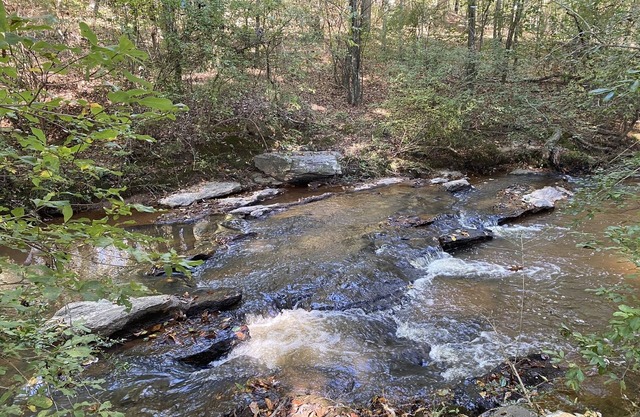 2 BR Suite W/Starlink 30 minutes from UGA