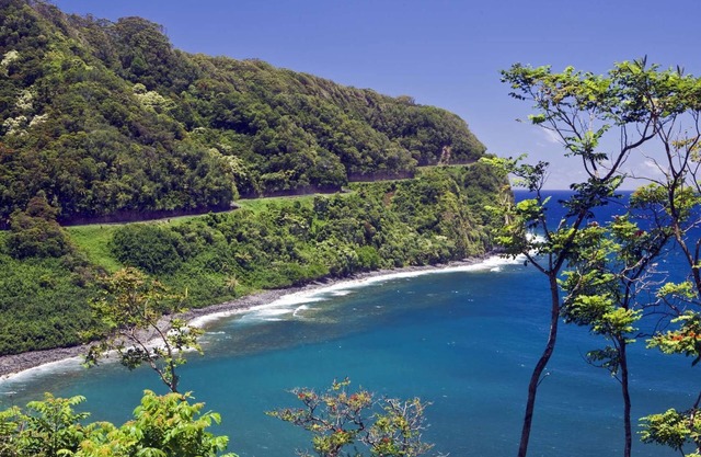 2 Units in International Colony Club, Sleeps 12