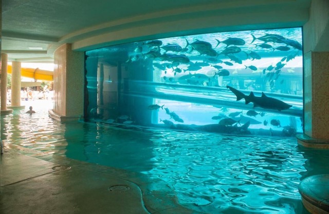 2 x Carson Tower - Deluxe Doubles Room at Golden Nugget Las Vegas