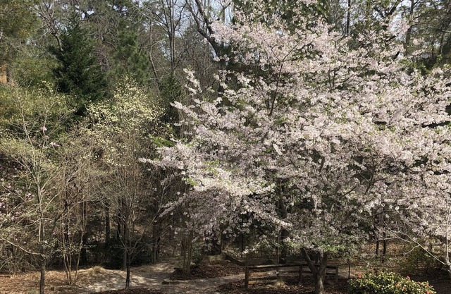 2024 US Open Pinehurst NC Rental. Exclusive Pinehurst Gated Community