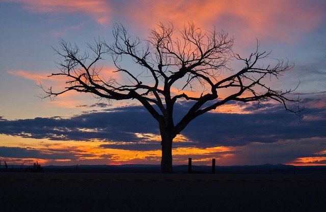 22 Room Adobe MANSION - 6 master bedrooms, 6.5 bath, Spa and Sauna, Pro Range