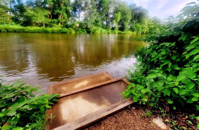 3.5 Acres of Sunny, Scenic, Swim & Fun for Everyone!